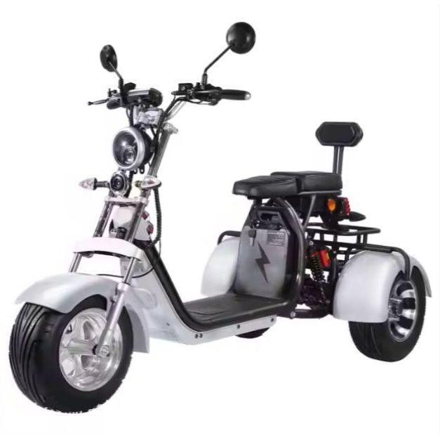 3 wheel fat tire tricycle 1500w, 2000w, 3000w three wheel electric trike scooter (50-70 km/h)