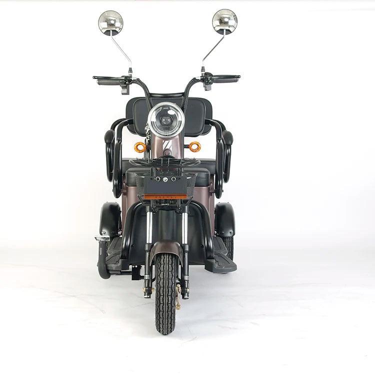 electric bike e-bike cargo fat tire electric tricycle electric bicycle