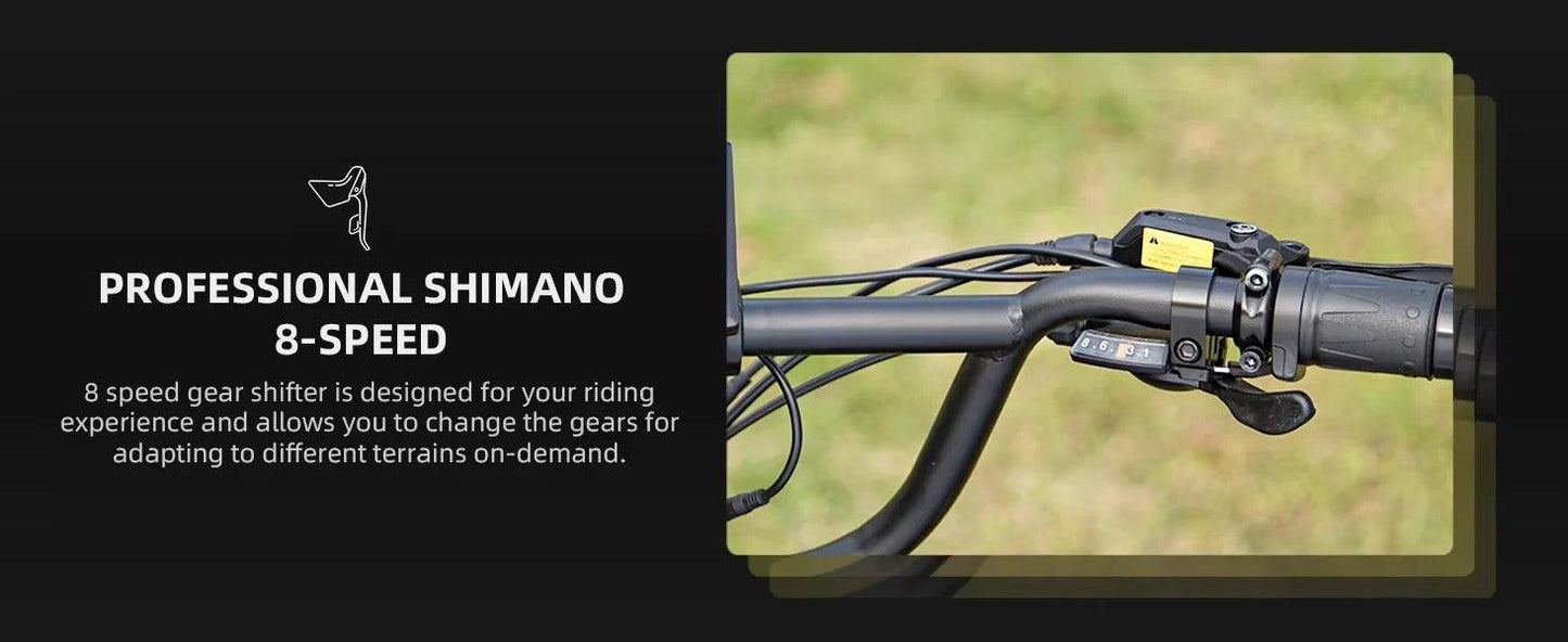 NEW 20 inch 48V 1000W 25AH mountain city adult electric bicycle folding electric fat tire dirt bike electric bicycle ebike