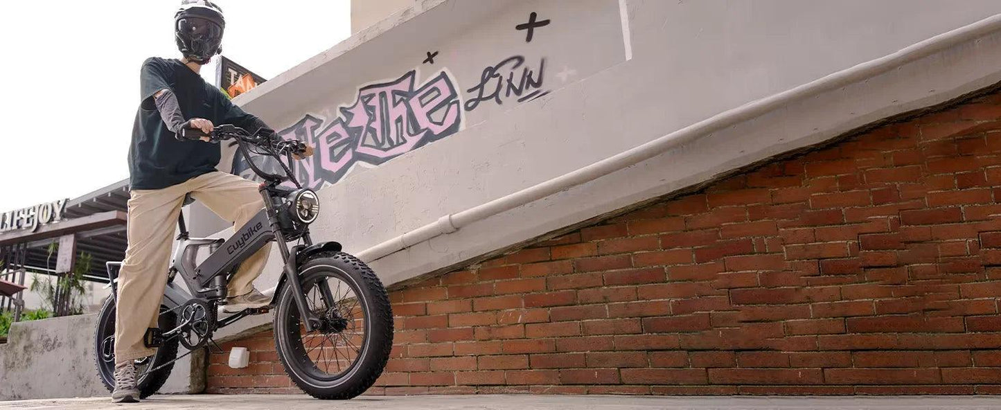 NEW 20 inch 48V 1000W 25AH mountain city adult electric bicycle folding electric fat tire dirt bike electric bicycle ebike