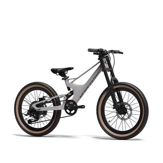 e-MTB Mountain HaiBike with Conversion kit 2000w (50-70 kmph) Bike Project