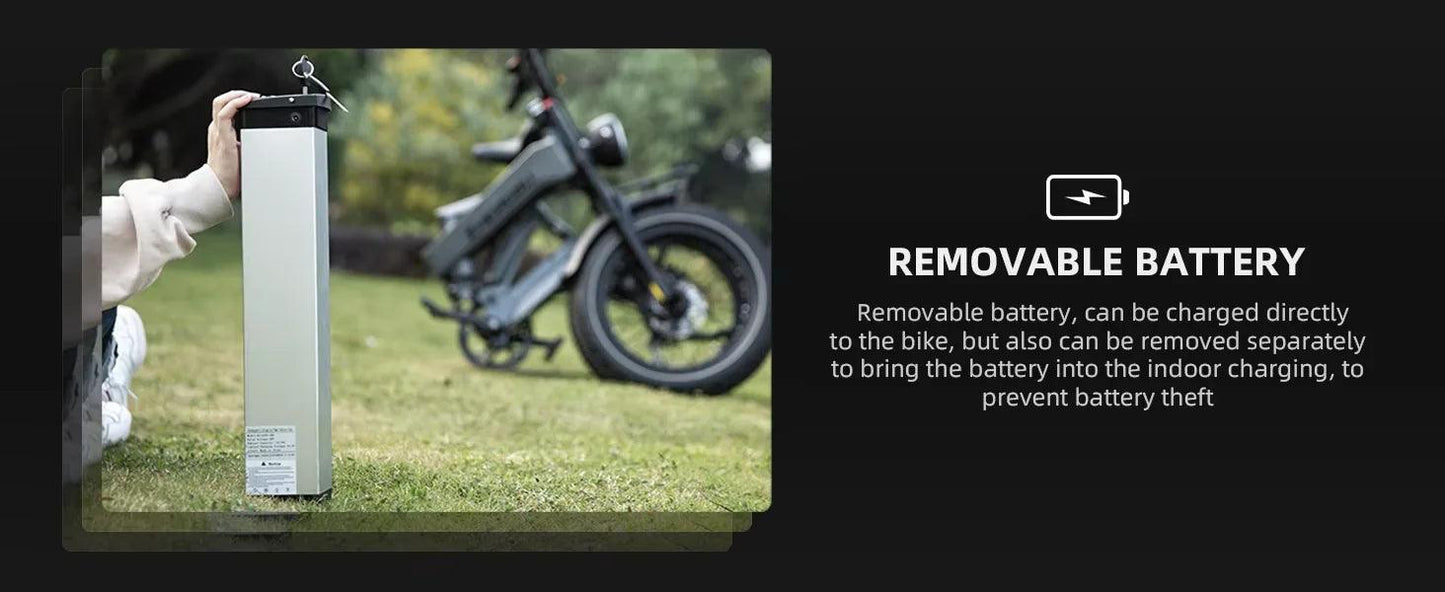 NEW 20 inch 48V 1000W 25AH mountain city adult electric bicycle folding electric fat tire dirt bike electric bicycle ebike