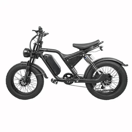 750w 1500w 48v 15ah dual motor electric bike 20" fat tire beach mountain E-bike e-MTB (35-55 km/h) - Franklyn & Page E-Bike Emporium