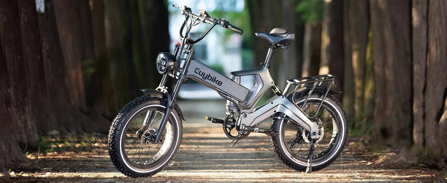 NEW 20 inch 48V 1000W 25AH mountain city adult electric bicycle folding electric fat tire dirt bike electric bicycle ebike