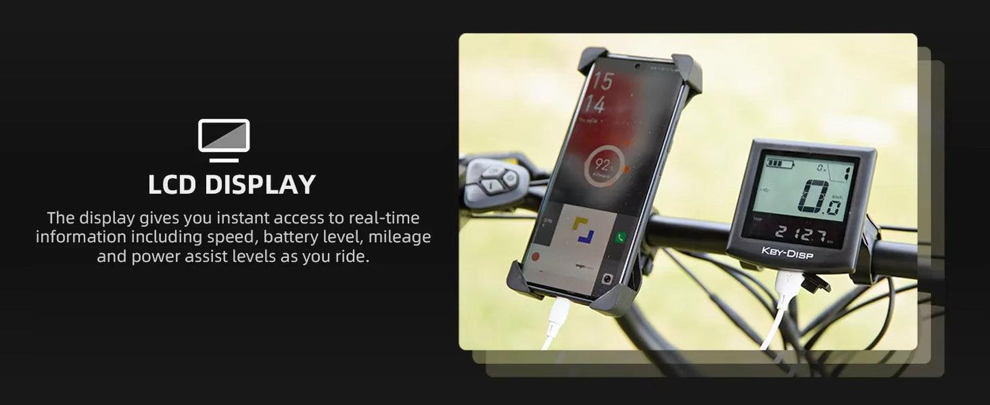 NEW 20 inch 48V 1000W 25AH mountain city adult electric bicycle folding electric fat tire dirt bike electric bicycle ebike