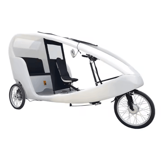 New 1000W Motor 3 Wheel Electric Bike 2 Passenger Bicycle Pedicab