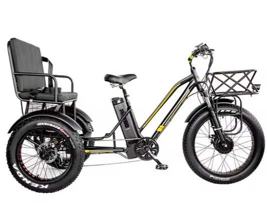 New 24" Fat Tire 3-Wheel Electric Family Cargo Tricycle – 48V 750W 21Ah | 50KM/H |