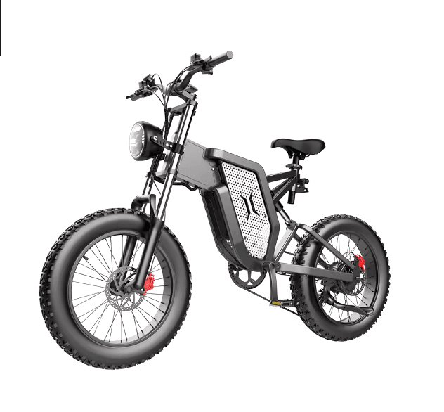 E-Bike Adults 20 Inch 48v 2000W 35AH Electric Bicycle Motocross Off-Road - Franklyn & Page Emporium