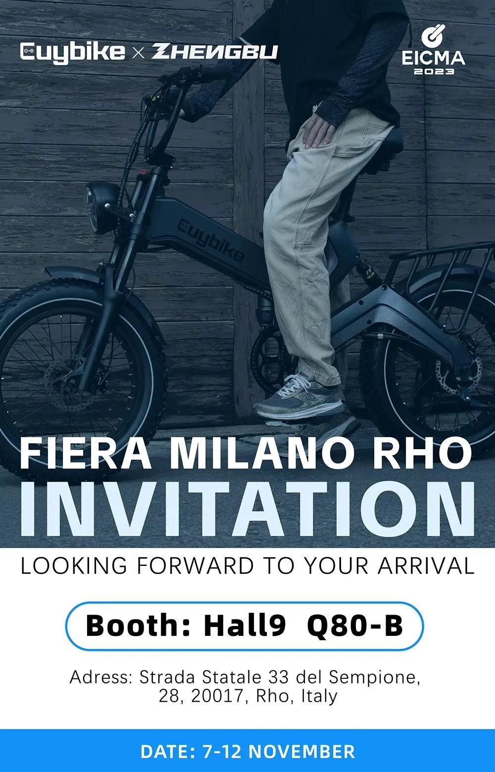 NEW 20 inch 48V 1000W 25AH mountain city adult electric bicycle folding electric fat tire dirt bike electric bicycle ebike