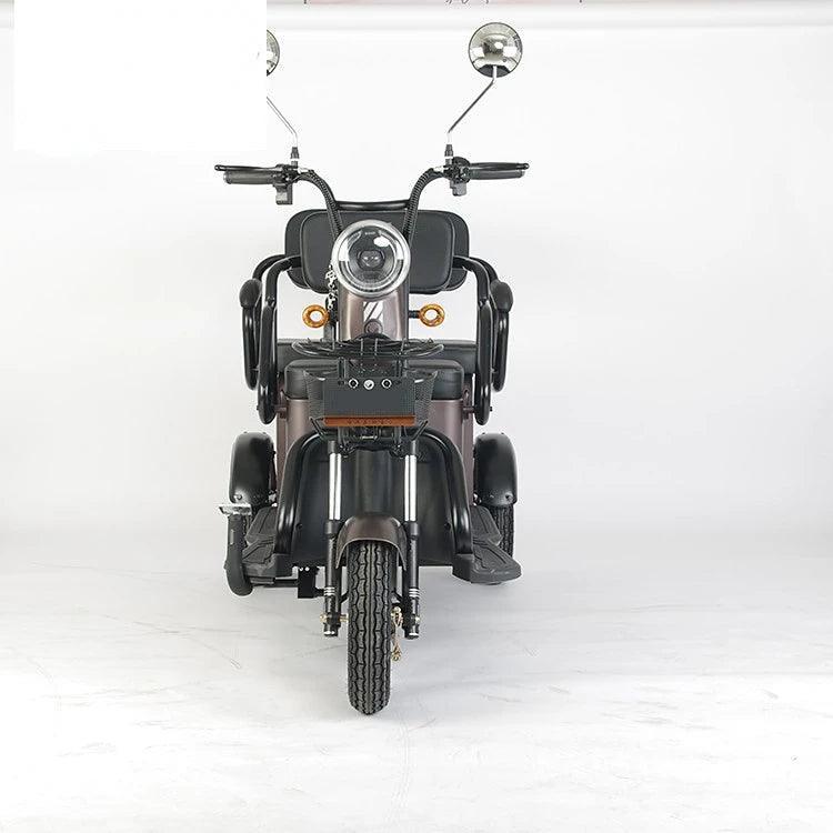 electric bike e-bike cargo fat tire electric tricycle electric bicycle
