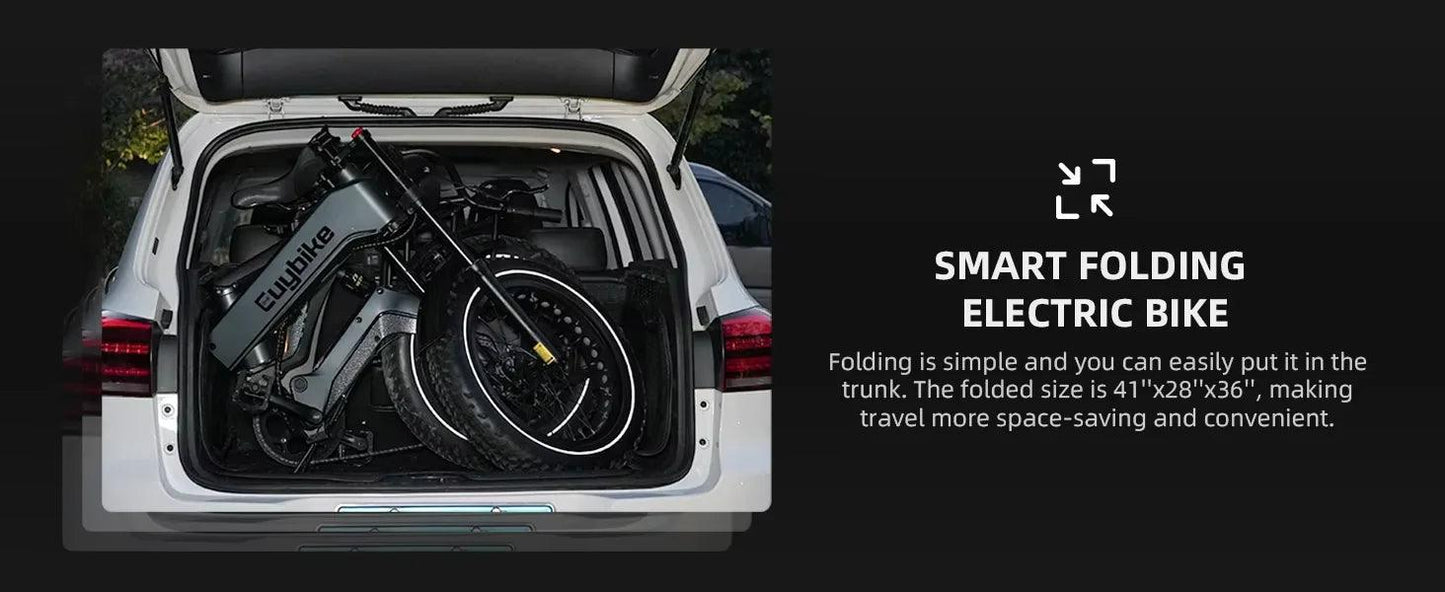 NEW 20 inch 48V 1000W 25AH mountain city adult electric bicycle folding electric fat tire dirt bike electric bicycle ebike