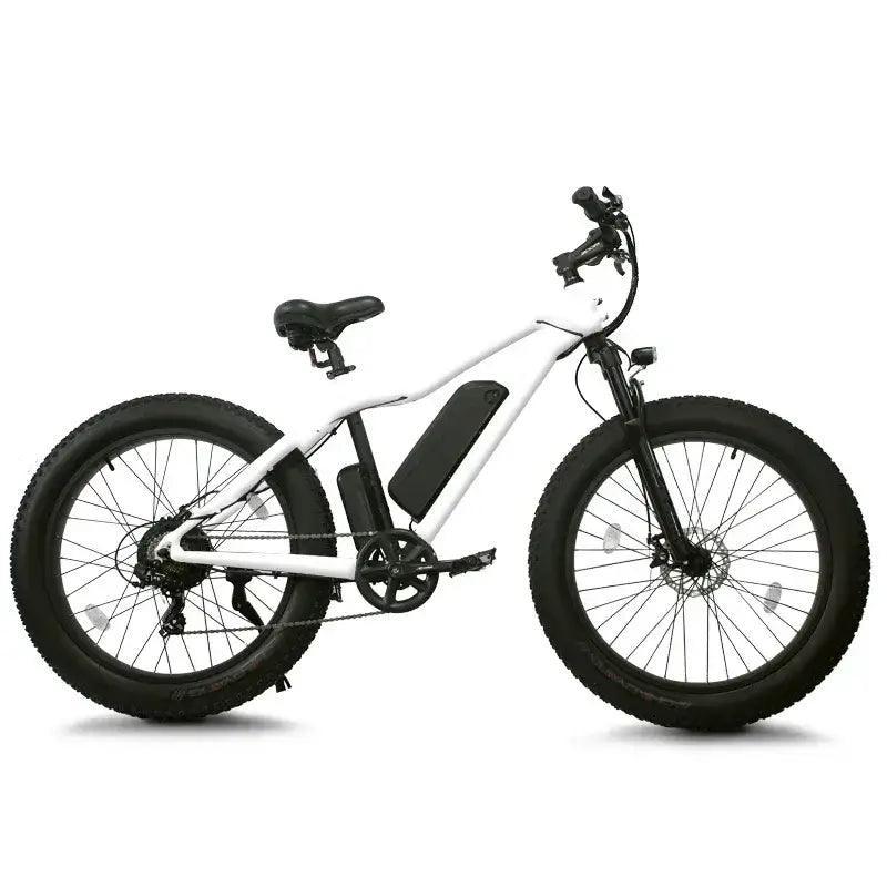 48V 500W-1500W 26*4.0 Inch Fat Tire Electric mountain Bike e-MTB (30-50 km/h) - Franklyn & Page E-Bike Emporium