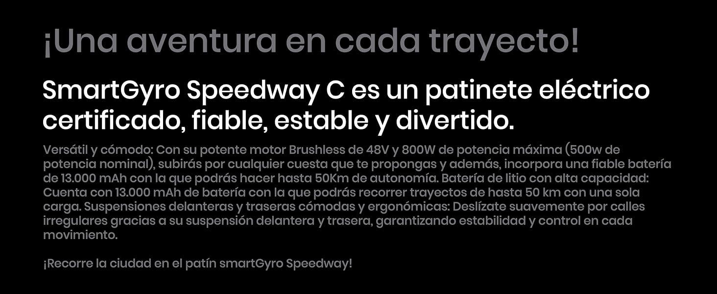 Y6S Adult Electric Scooter - 500W rated 800W Max 48V 18Ah Professional Electric Scooter for Work 10 Inch Tyre Shock Absorption - Franklyn & Page E-Bike Emporium