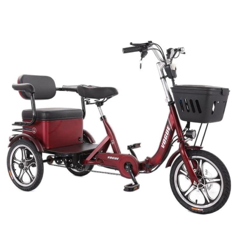 3 Wheeler Electric Tricycle Passenger 400W 48V 20AH E-Bike Transporter (35 km/h) - Franklyn & Page E-Bike Emporium