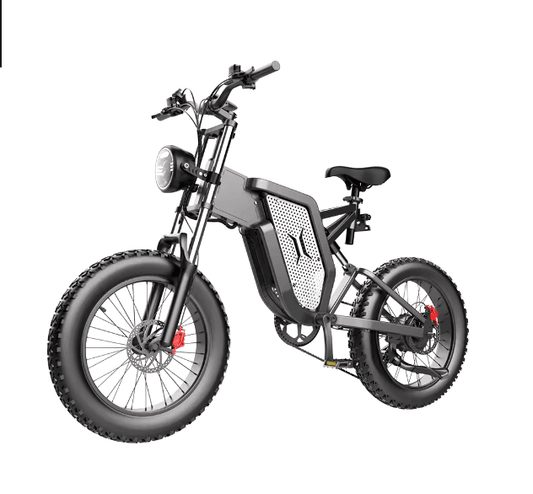 E-Bike Adults 20 Inch 48v 2000W 35AH Electric Bicycle Motocross Off-Road - Franklyn & Page Emporium